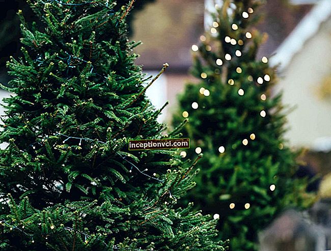 كيفية اختيار شجرة عيد الميلاد الاصطناعية: 10 نصائح