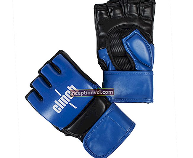 Types of gloves for martial arts: how to choose for MMA